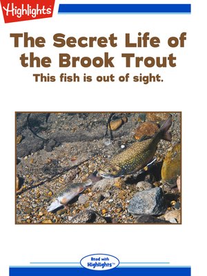 cover image of The Secret Life of the Brook Trout